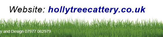 Hollytree base